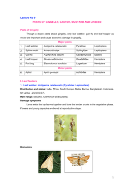 Pests of Gingelly, Castor, Mustard and Linseed