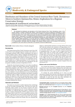 Distribution and Abundance of the Central American River Turtle