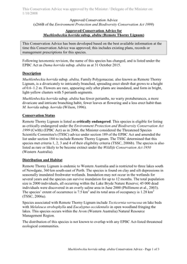 Approved Conservation Advice for Muehlenbeckia Horrida Subsp. Abdita (Remote Thorny Lignum)