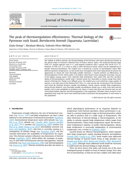 The Peak of Thermoregulation Effectiveness Thermal Biology Of