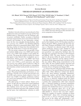 Viruses of Kiwifruit (Actinidia Species)