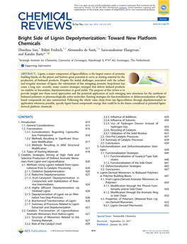 Bright Side of Lignin Depolymerization: Toward New Platform Chemicals