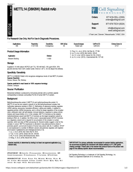 51104 METTL14 (D8K8W) Rabbit Mab