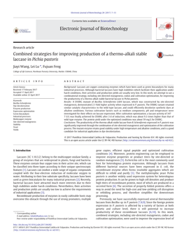 Combined Strategies for Improving Production of a Thermo-Alkali Stable Laccase in Pichia Pastoris