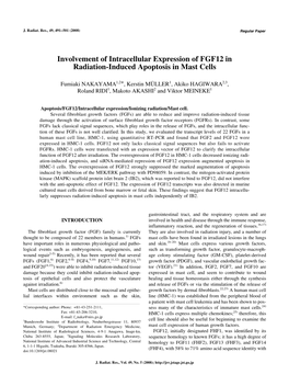 Involvement of Intracellular Expression of FGF12 in Radiation-Induced Apoptosis in Mast Cells