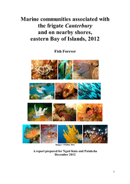 Marine Communities Associated with the Frigate Canterbury and on Nearby Shores, Eastern Bay of Islands, 2012
