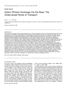 Xylem-Phloem Exchange Via the Rays: the Undervalued Route of Transport