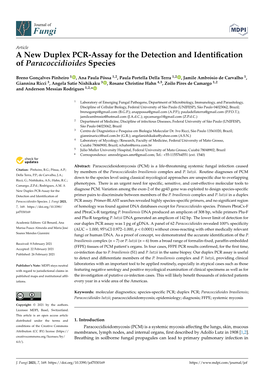A New Duplex PCR-Assay for the Detection and Identification of Paracoccidioides Species