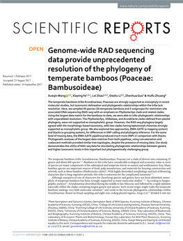 Genome-Wide RAD Sequencing Data Provide Unprecedented Resolution