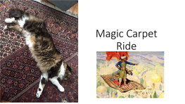 Magic Carpet Ride