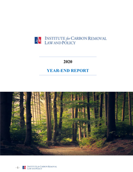 Institute for Carbon Removal Law and Policy 2020 Report