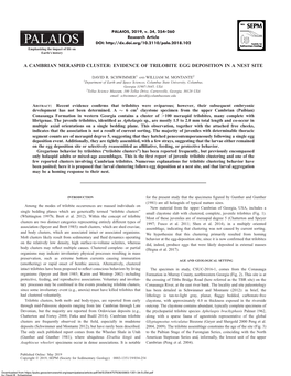 A Cambrian Meraspid Cluster: Evidence of Trilobite Egg Deposition in a Nest Site