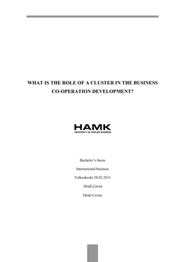 What Is the Role of a Cluster in the Business Co-Operation Development?