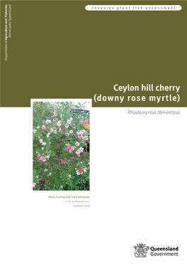 Ceylon Hill Cherry (Rhodomyrtus Tomentosa)