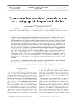 Expression of Immune-Related Genes of Common Carp During Cyprinid Herpesvirus 3 Infection