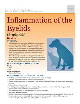 Inflammation of the Eyelids
