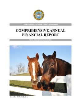 Comprehensive Annual Financial Report