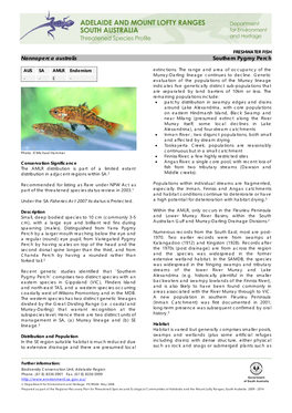 FRESHWATER FISH Nannoperca Australis Southern Pygmy Perch