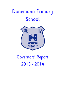 Governors' Report 2013