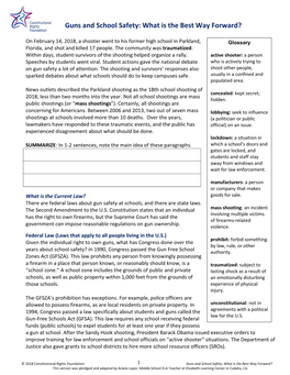 Guns and School Safety: What Is the Best Way Forward?