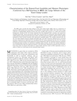 Characterization of the Repeat-Tract Instability and Mutator Phenotypes Conferred by a Tn3 Insertion in RFC1, the Large Subunit of the Yeast Clamp Loader