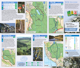 Mark Hill Doach Wood Dalbeattie Forest the Hills