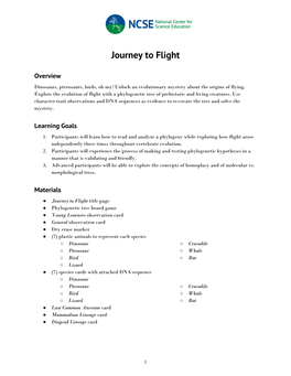 Journey to Flight