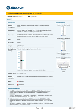 CHTF18 Monoclonal Antibody (M01), Clone 1F5