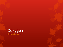 Doxygen Britton Dennis Used For