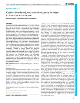 Carbon Dioxide-Induced Bioluminescence Increase in Arachnocampa Larvae Hamish Richard Charlton and David John Merritt*