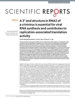 End Structure in RNA2 of a Crinivirus Is Essential for Viral RNA Synthesis