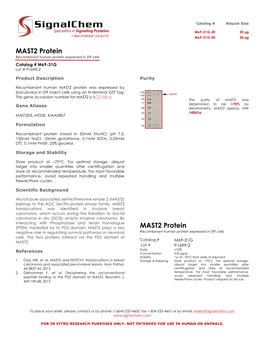 MAST2 Protein Recombinant Human Protein Expressed in Sf9 Cells