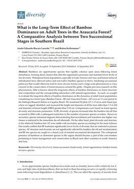 What Is the Long-Term Effect of Bamboo Dominance on Adult Trees