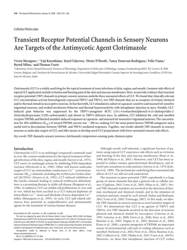 Transient Receptor Potential Channels in Sensory Neurons Are Targets of the Antimycotic Agent Clotrimazole