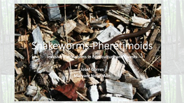 Presentation Slides (Earthworms)