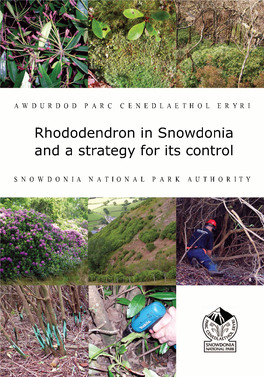 Rhododendron in Snowdonia and a Strategy for Its Control