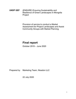 Final Report-V4.0-20200919