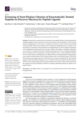 Screening of Yeast Display Libraries of Enzymatically Treated Peptides to Discover Macrocyclic Peptide Ligands