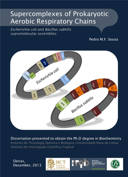 Supercomplexes of Prokaryotic Aerobic Respiratory Chains Escherichia Coli and Bacillus Subtilis Supramolecular Assemblies Pedro M.F