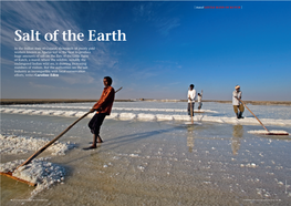 Travel LITTLE RANN of KUTCH |