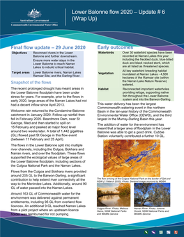 Lower Balonne Flow 2020 – Update # 6