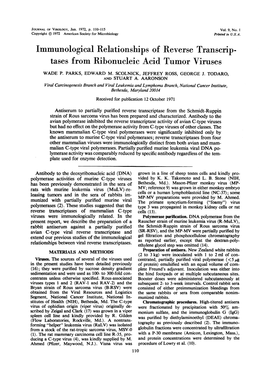 Tases from Ribonucleic Acid Tumor Viruses