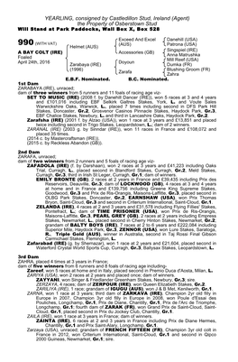 YEARLING, Consigned by Castledillon Stud, Ireland (Agent) the Property of Osberstown Stud Will Stand at Park Paddocks, Wall Box X, Box 528