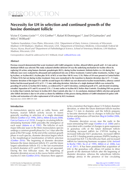 Necessity for LH in Selection and Continued Growth of the Bovine Dominant Follicle