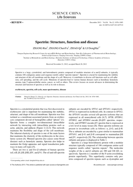 SCIENCE CHINA Spectrin: Structure, Function and Disease