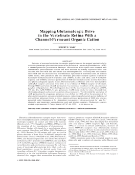 Mapping Glutamatergic Drive in the Vertebrate Retina with a Channel-Permeant Organic Cation