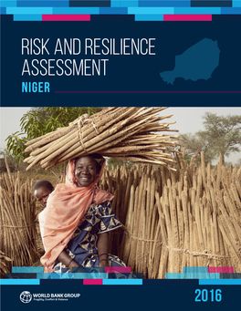 Risk and Resilience Assessment Niger