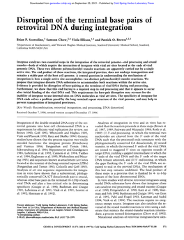 Disruption of the Terminal Base Pairs of Retroviral DNA During Integration