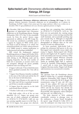 Spike-Heeled Lark Chersomanes Albofasciata Rediscovered in Katanga, DR Congo Michel Louettea and Michel Hassonb