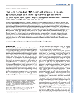 The Long Noncoding RNA Kcnq1ot1 Organises a Lineage- Specific Nuclear Domain for Epigenetic Gene Silencing Lisa Redrup1, Miguel R